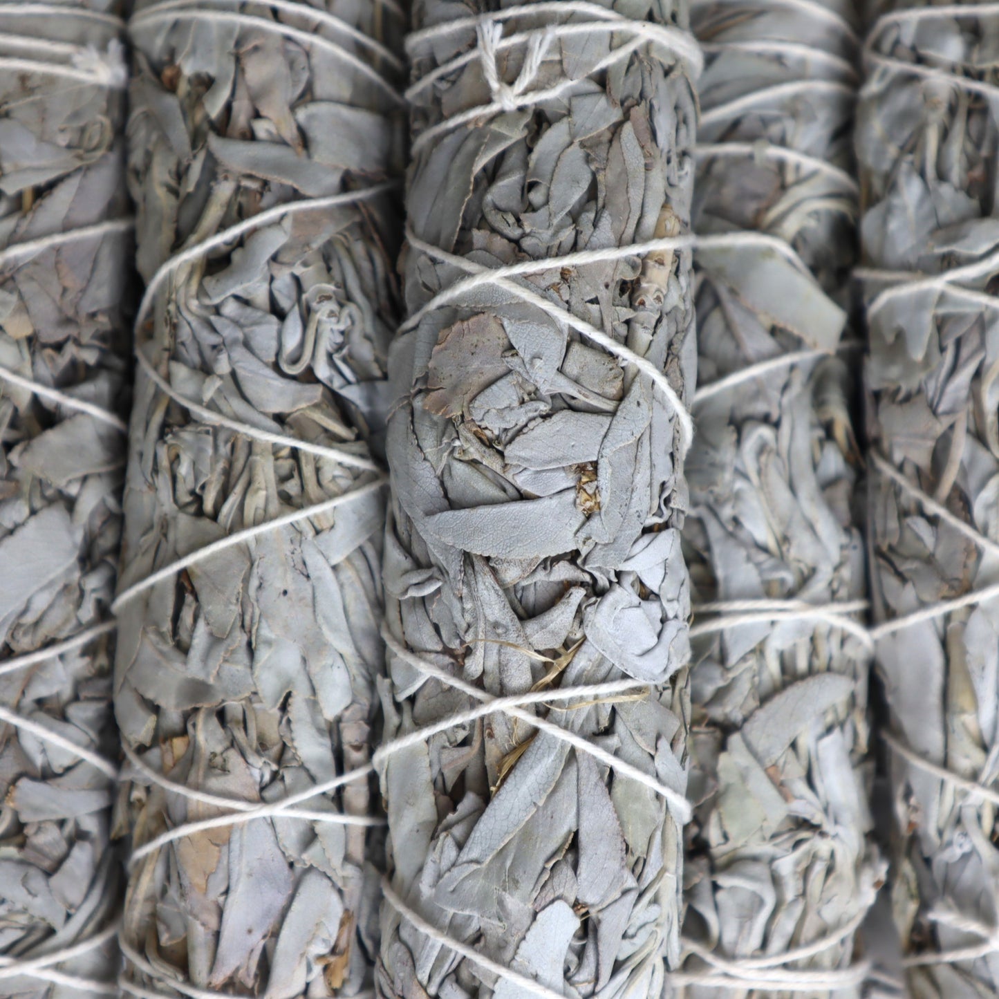 White Sage Cleansing Wand | Medium | 15cm | Purification & Energy Clearing