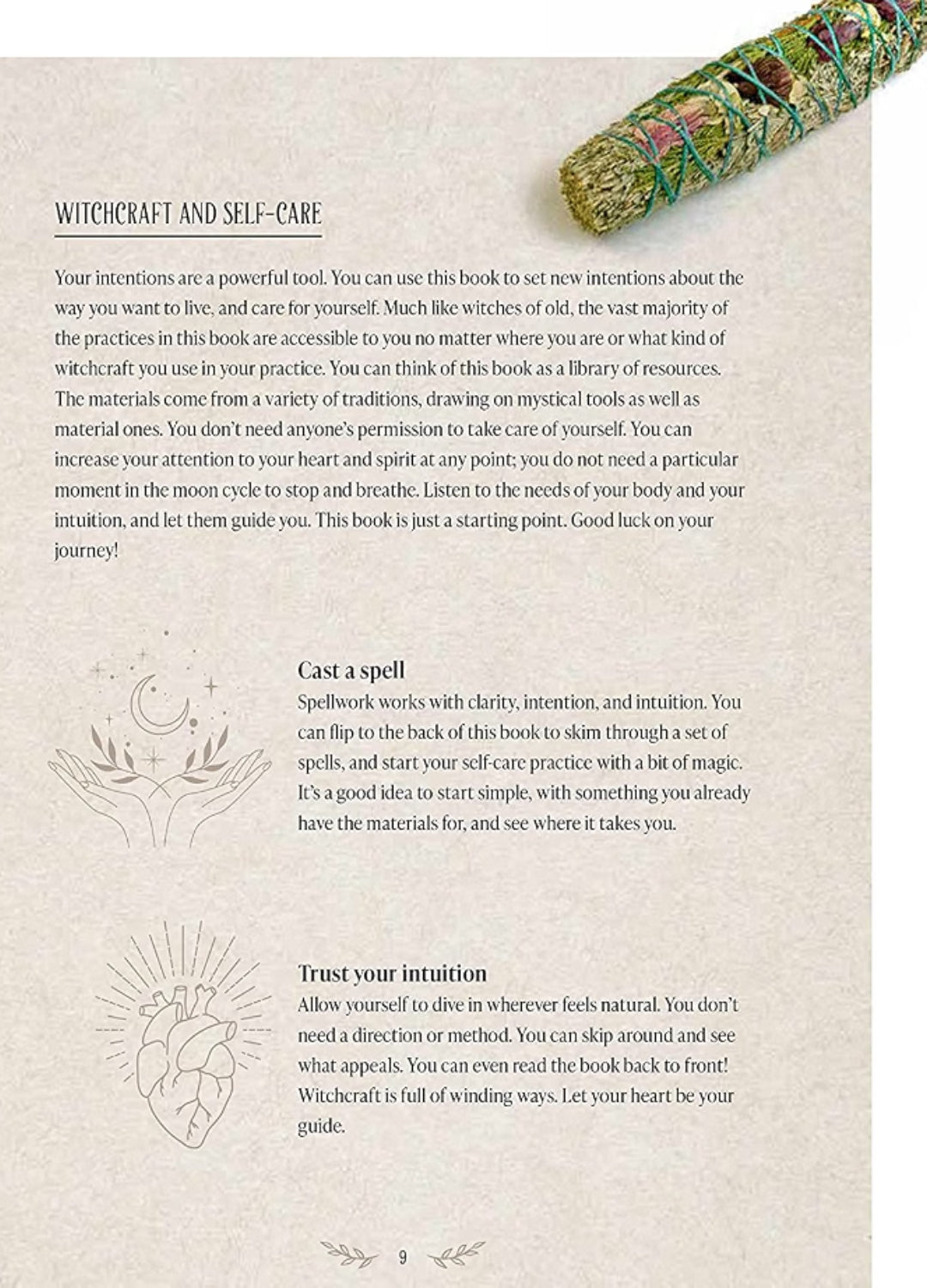 The Witch&
