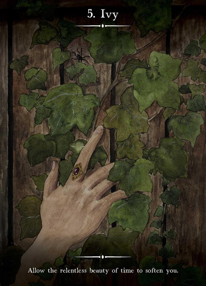 Witch&