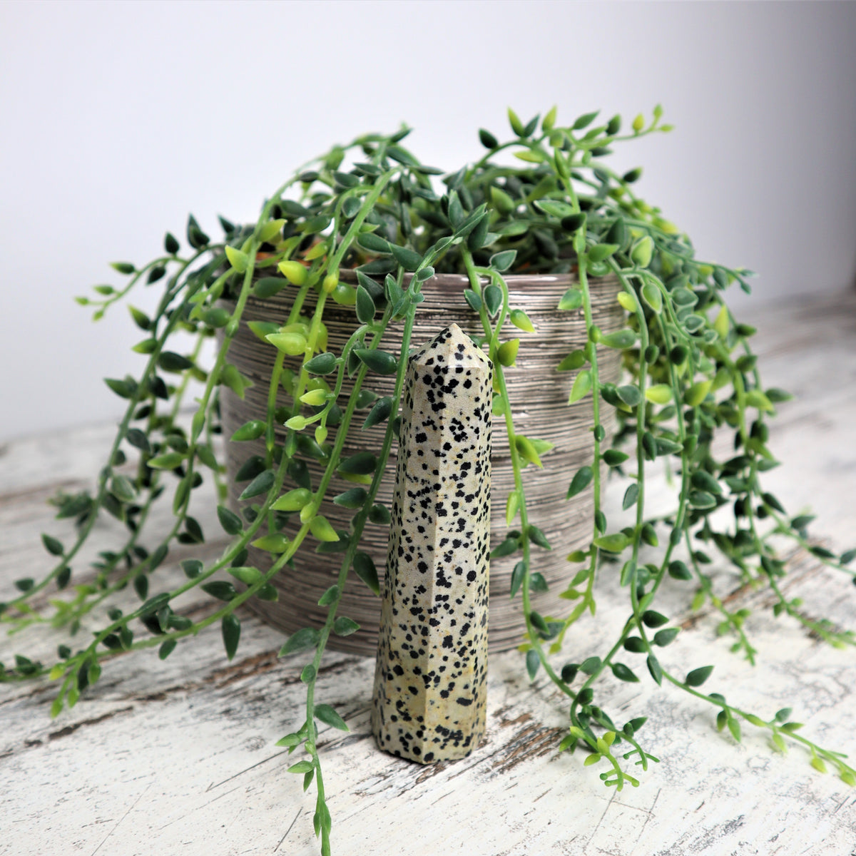 Dalmatian Jasper Point | Joy, Grounding &amp; Playful Protection