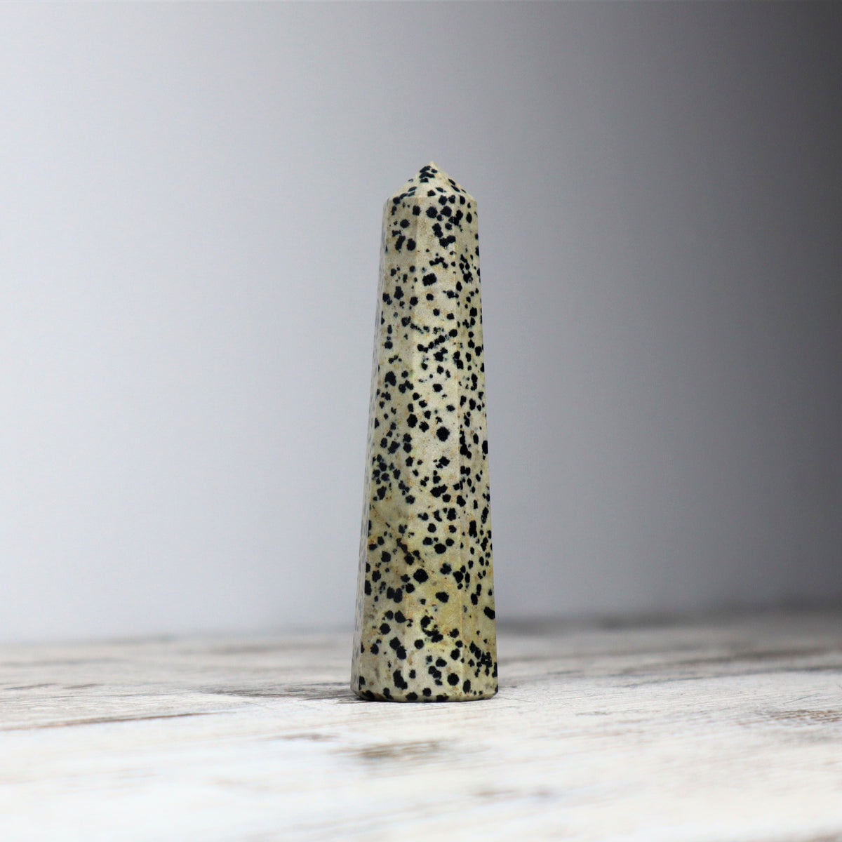 Dalmatian Jasper Point | Joy, Grounding &amp; Playful Protection