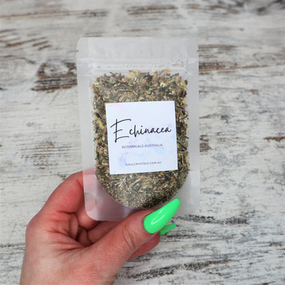Echinacea