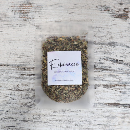 Echinacea