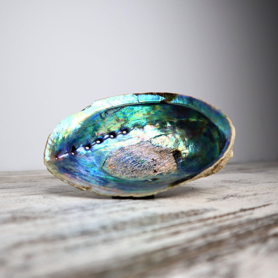 Raw Abalone Shell | Unpolished | Cleansing, Ocean Healing &amp; Sacred Ritual