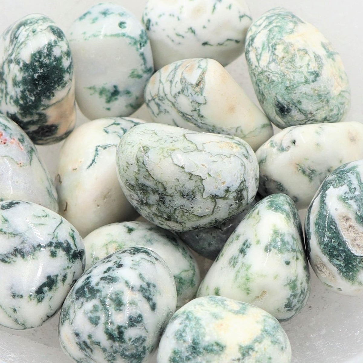 Tree Agate Tumble | Peace, Growth &amp; Nature’s Wisdom
