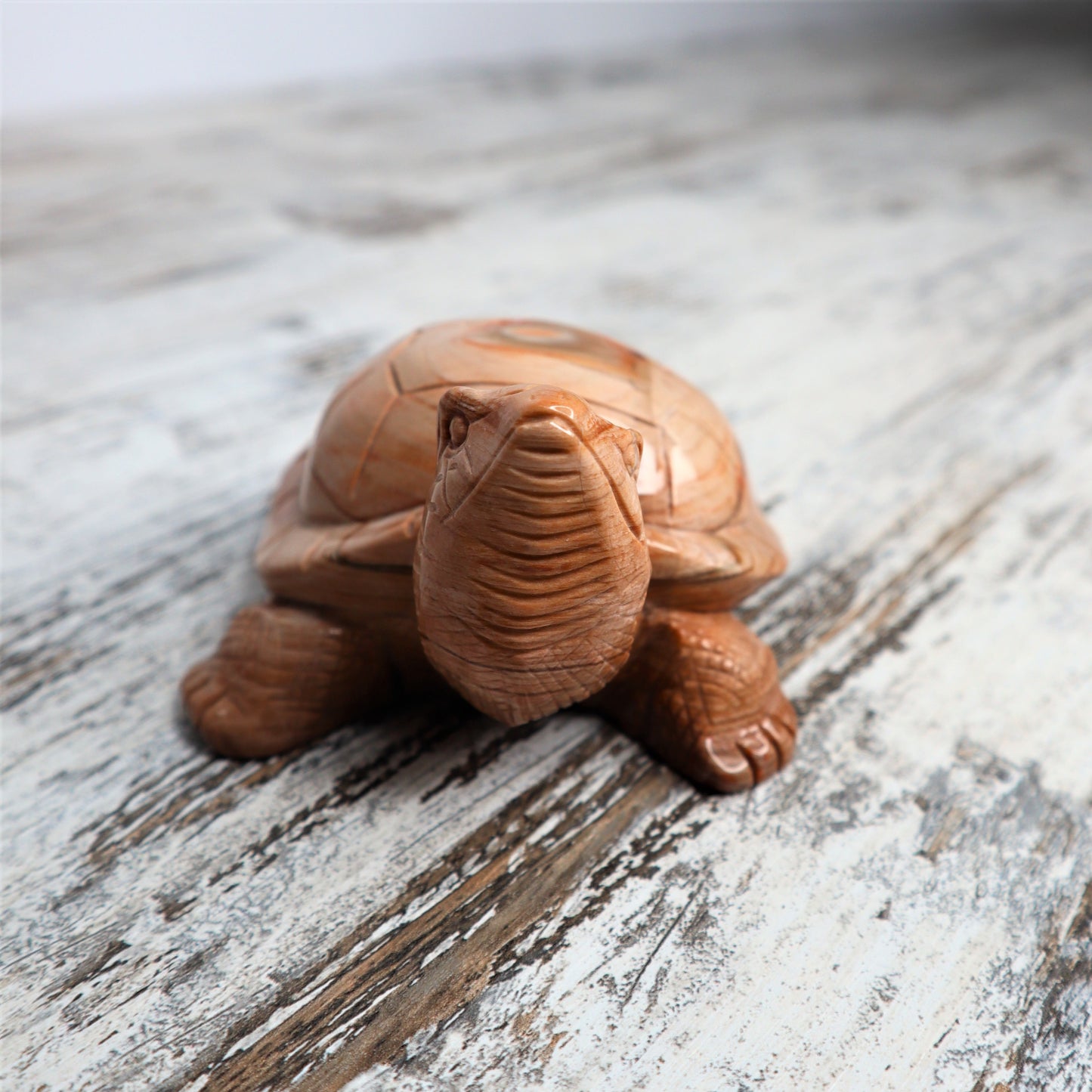 Petrified Wood Turtle (460g)