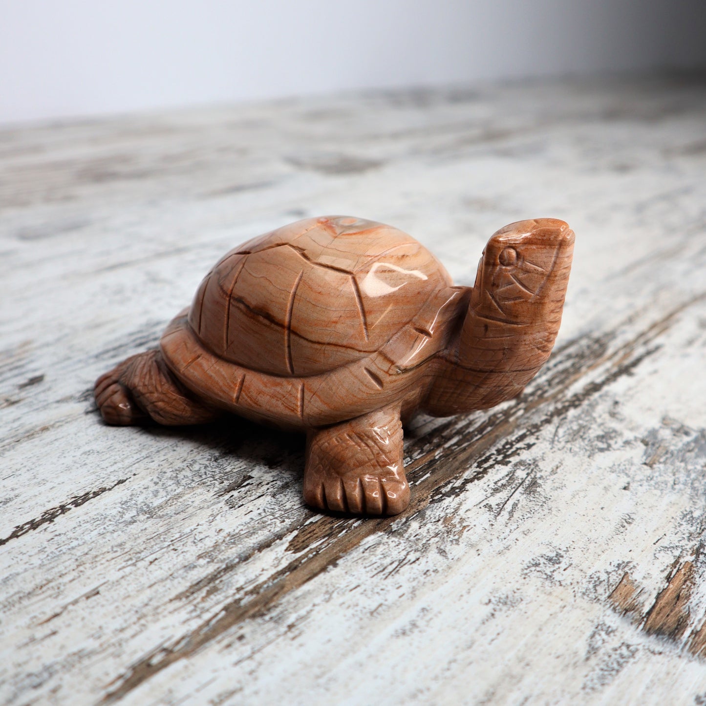 Petrified Wood Turtle (460g)