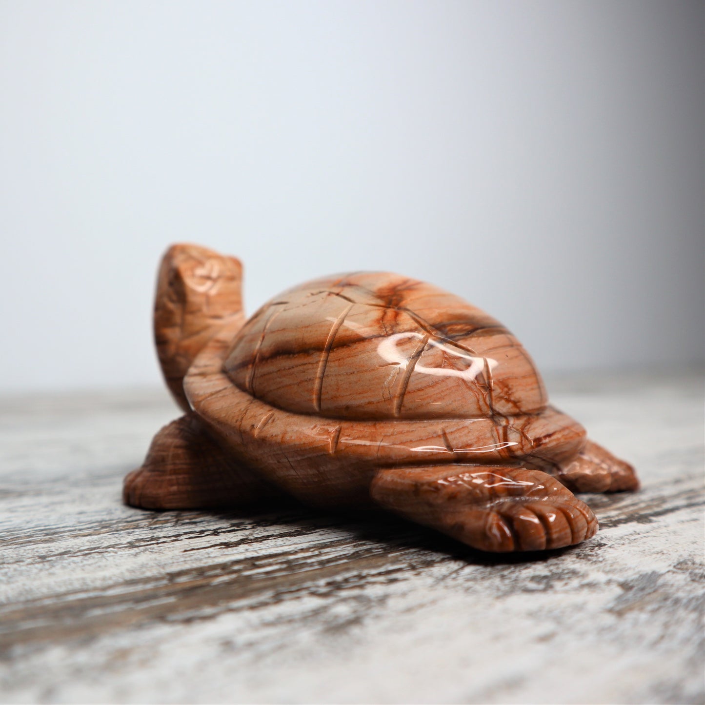 Petrified Wood Turtle (460g)